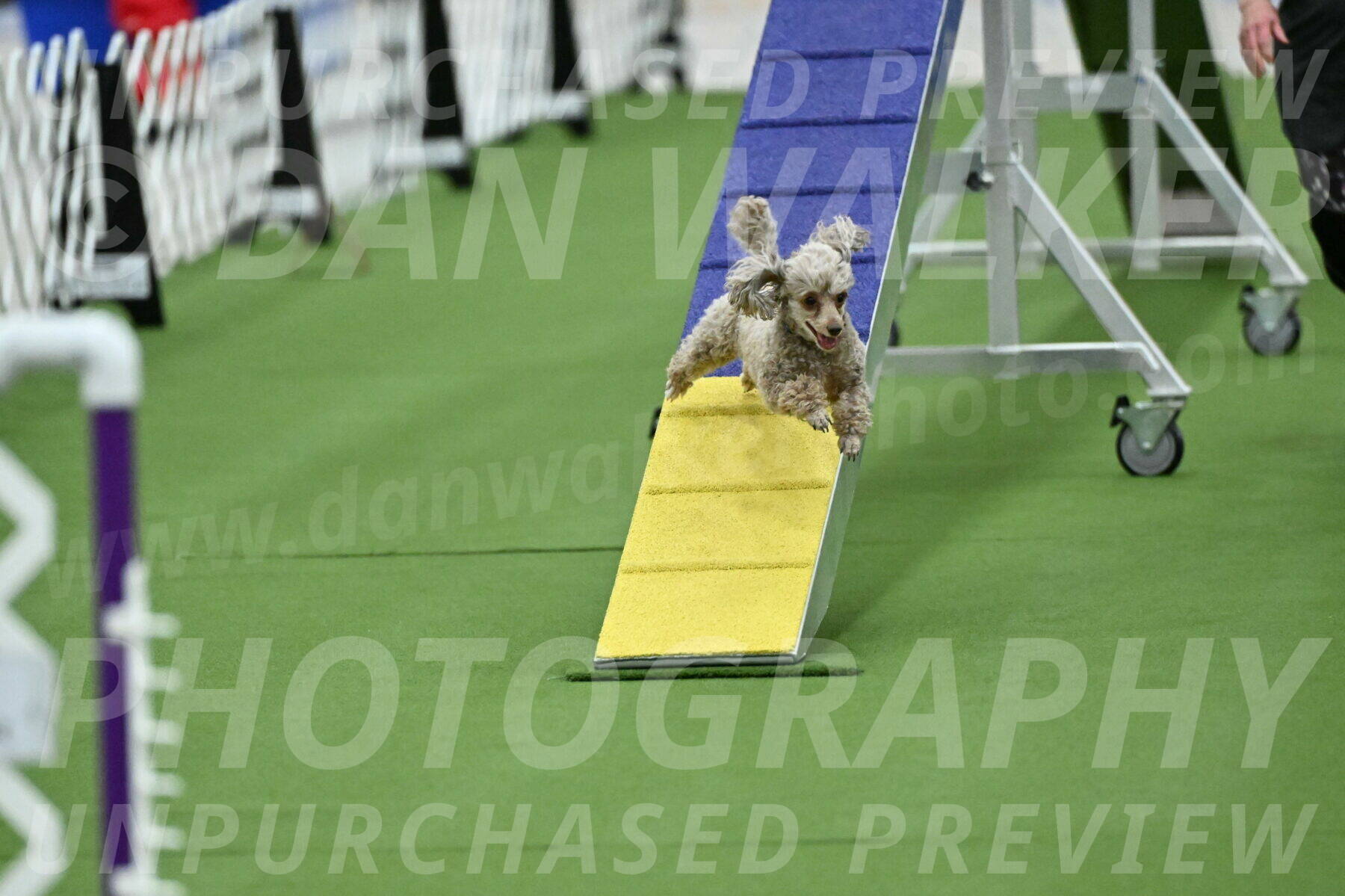 MAS-EX-STD-4-8-Inch_4493