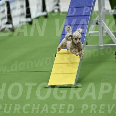 MAS-EX-STD-4-8-Inch_4493