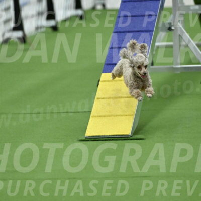 MAS-EX-STD-4-8-Inch_4494