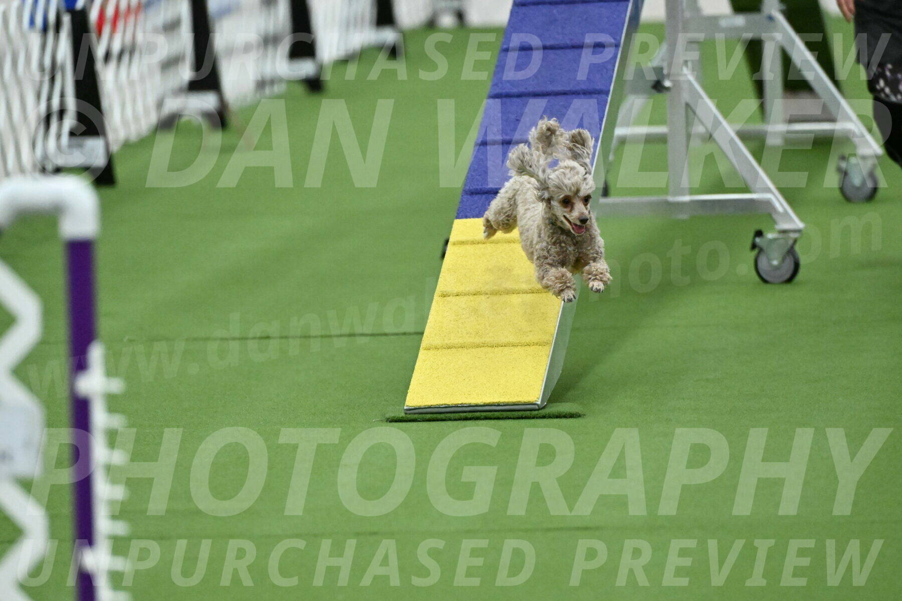 MAS-EX-STD-4-8-Inch_4494