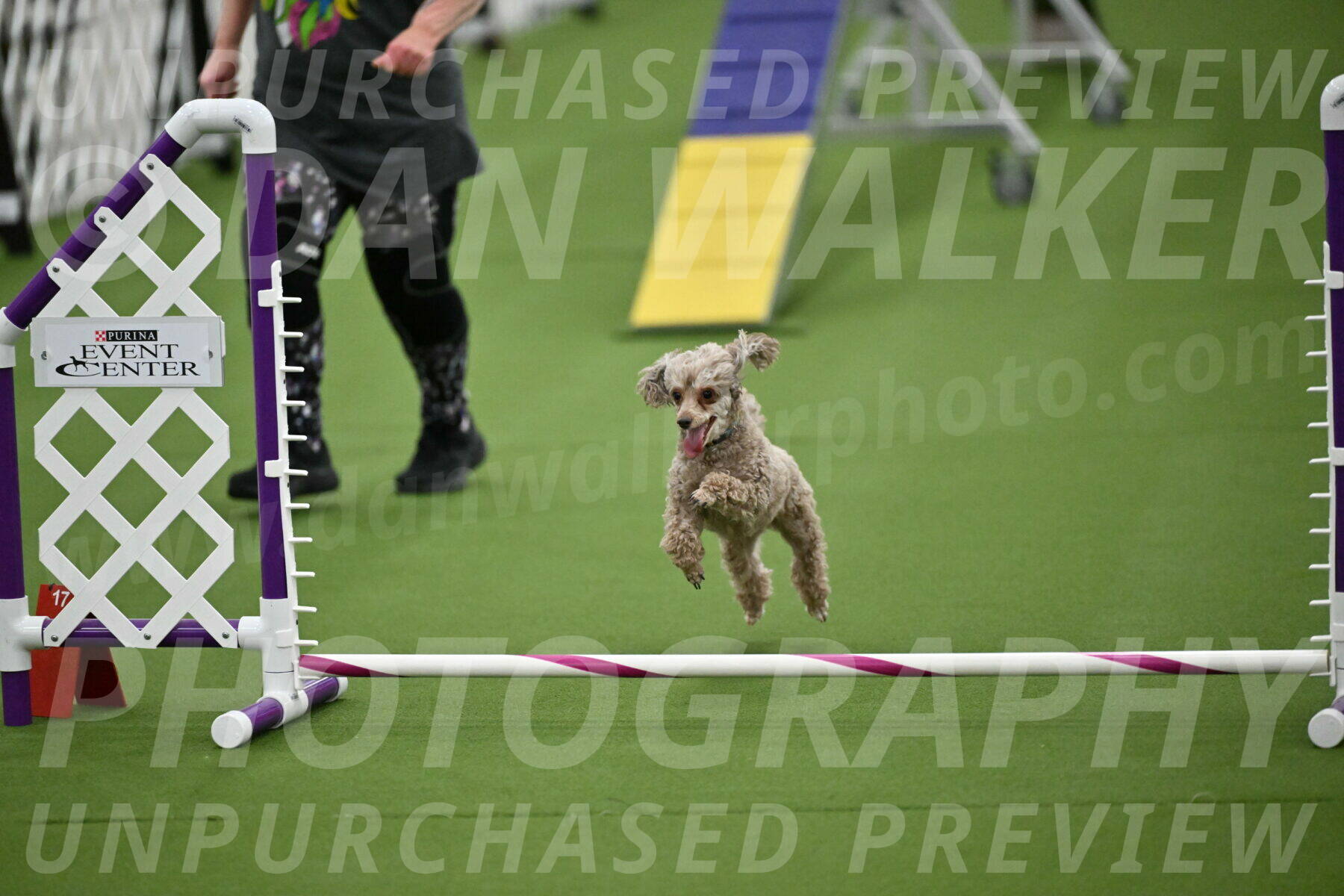 MAS-EX-STD-4-8-Inch_4499