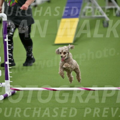 MAS-EX-STD-4-8-Inch_4499