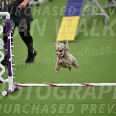 MAS-EX-STD-4-8-Inch_4500