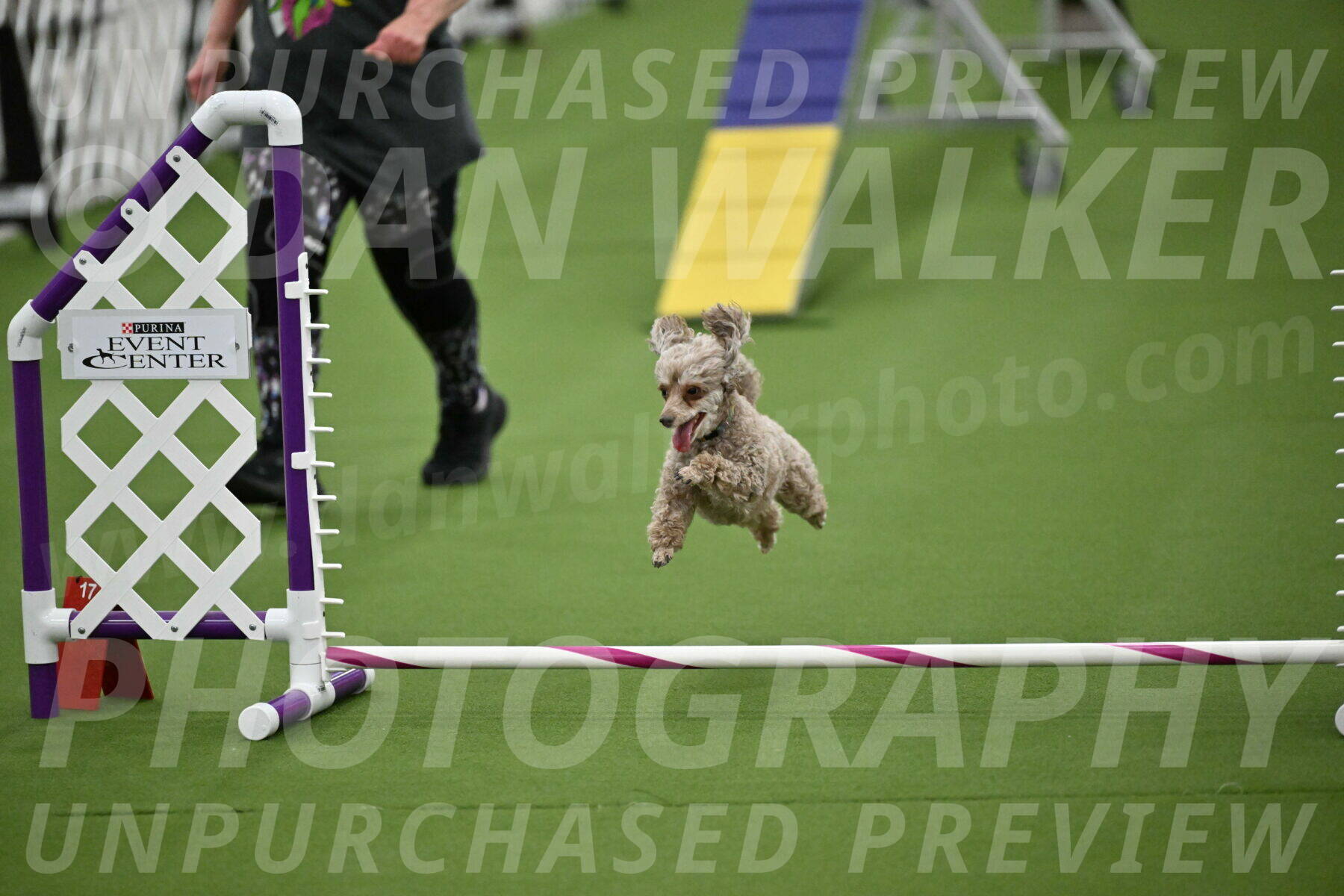 MAS-EX-STD-4-8-Inch_4500