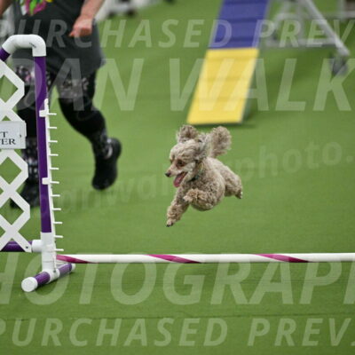 MAS-EX-STD-4-8-Inch_4501