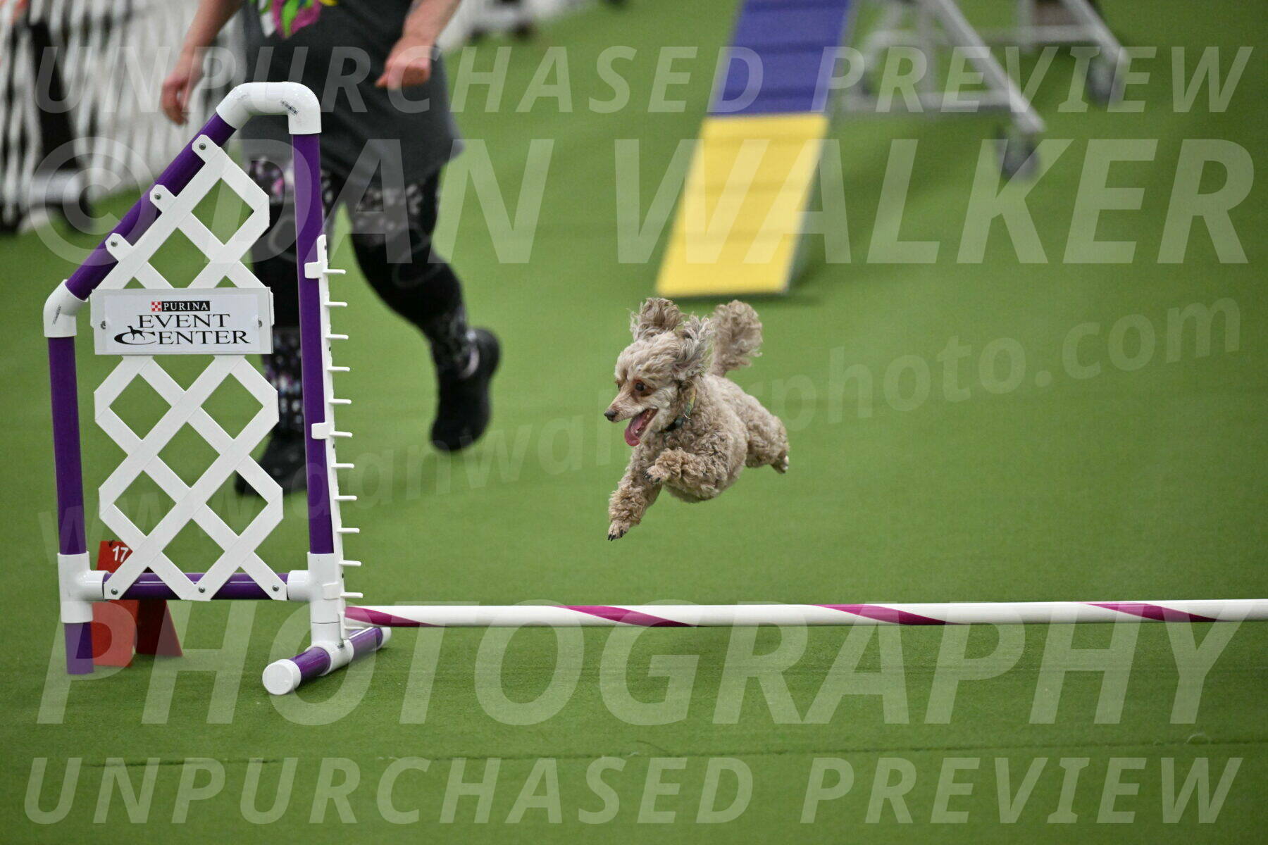 MAS-EX-STD-4-8-Inch_4501