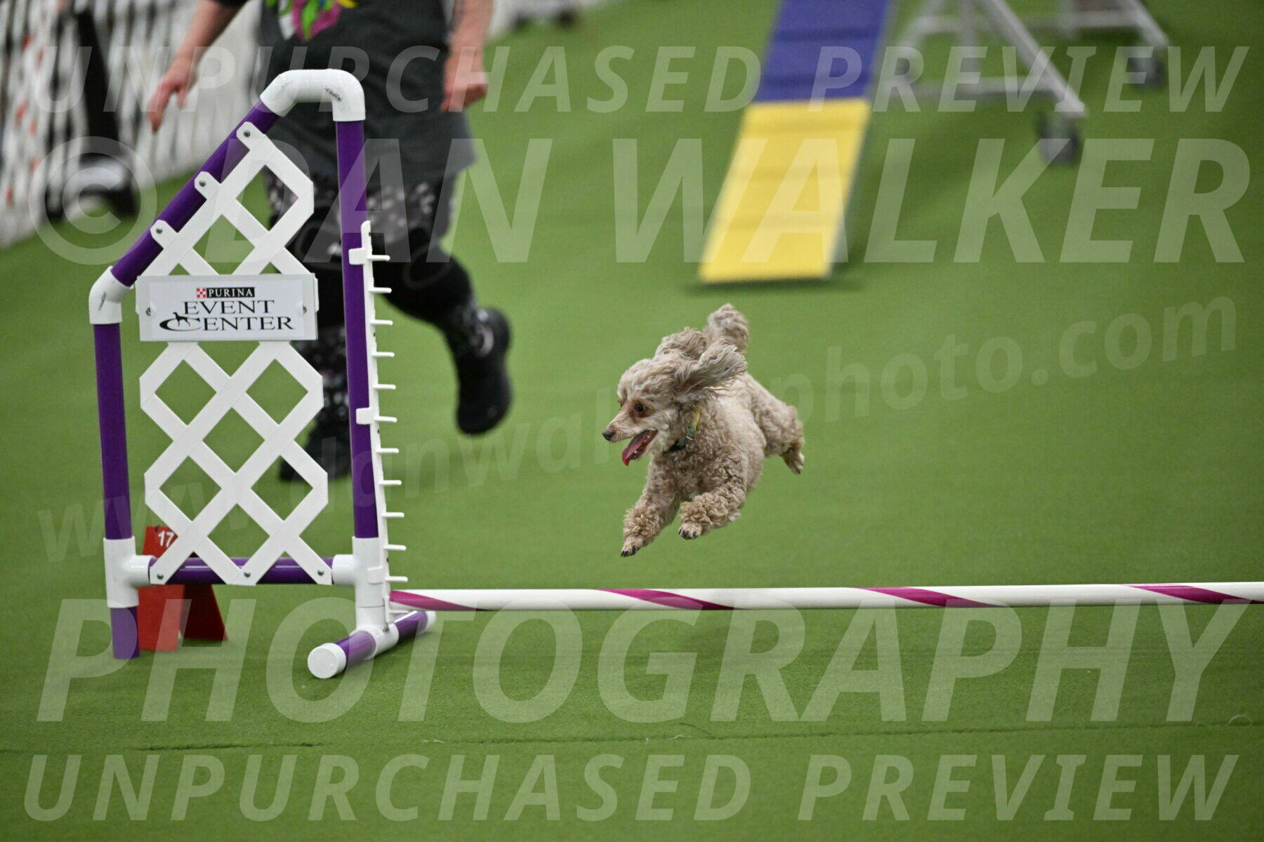 MAS-EX-STD-4-8-Inch_4502