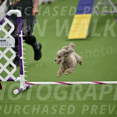 MAS-EX-STD-4-8-Inch_4502