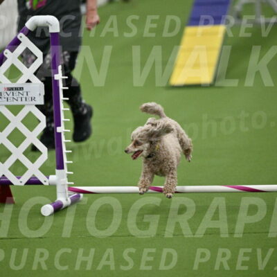 MAS-EX-STD-4-8-Inch_4503