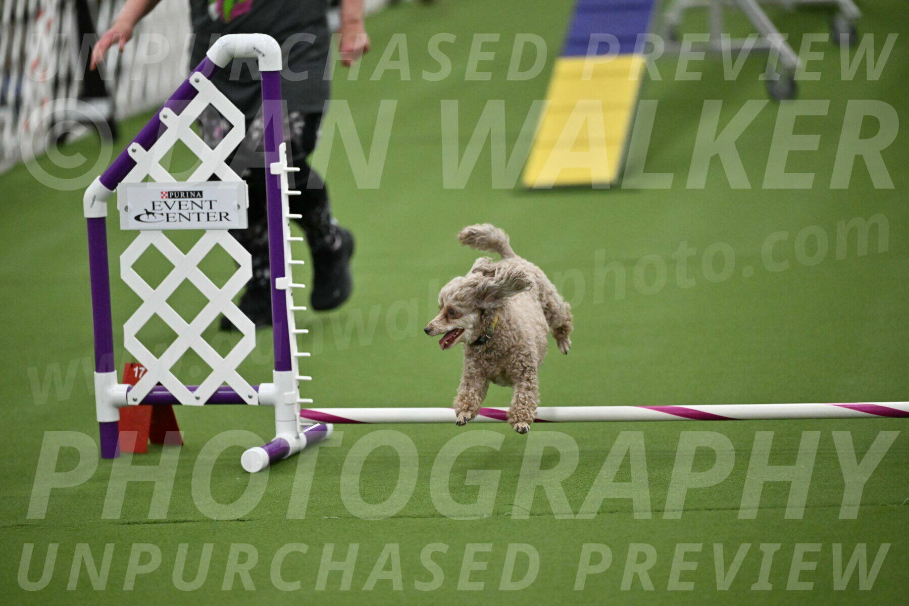 MAS-EX-STD-4-8-Inch_4503