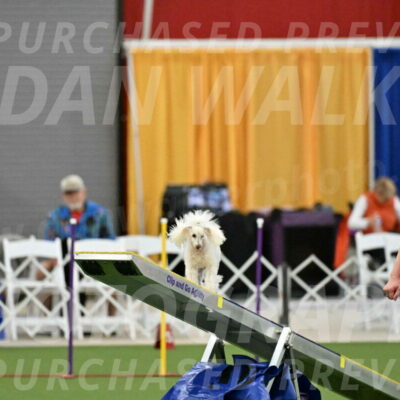 MAS-EX-STD-4-8-Inch_4509