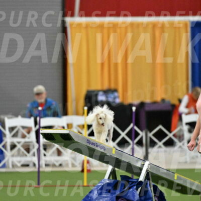 MAS-EX-STD-4-8-Inch_4511