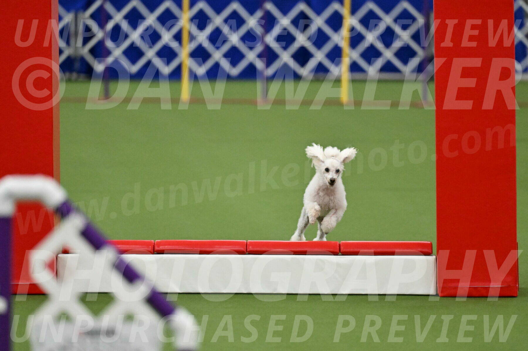 MAS-EX-STD-4-8-Inch_4529