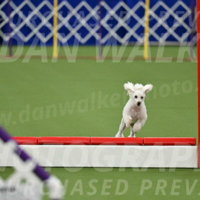 MAS-EX-STD-4-8-Inch_4529