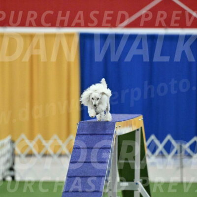 MAS-EX-STD-4-8-Inch_4540