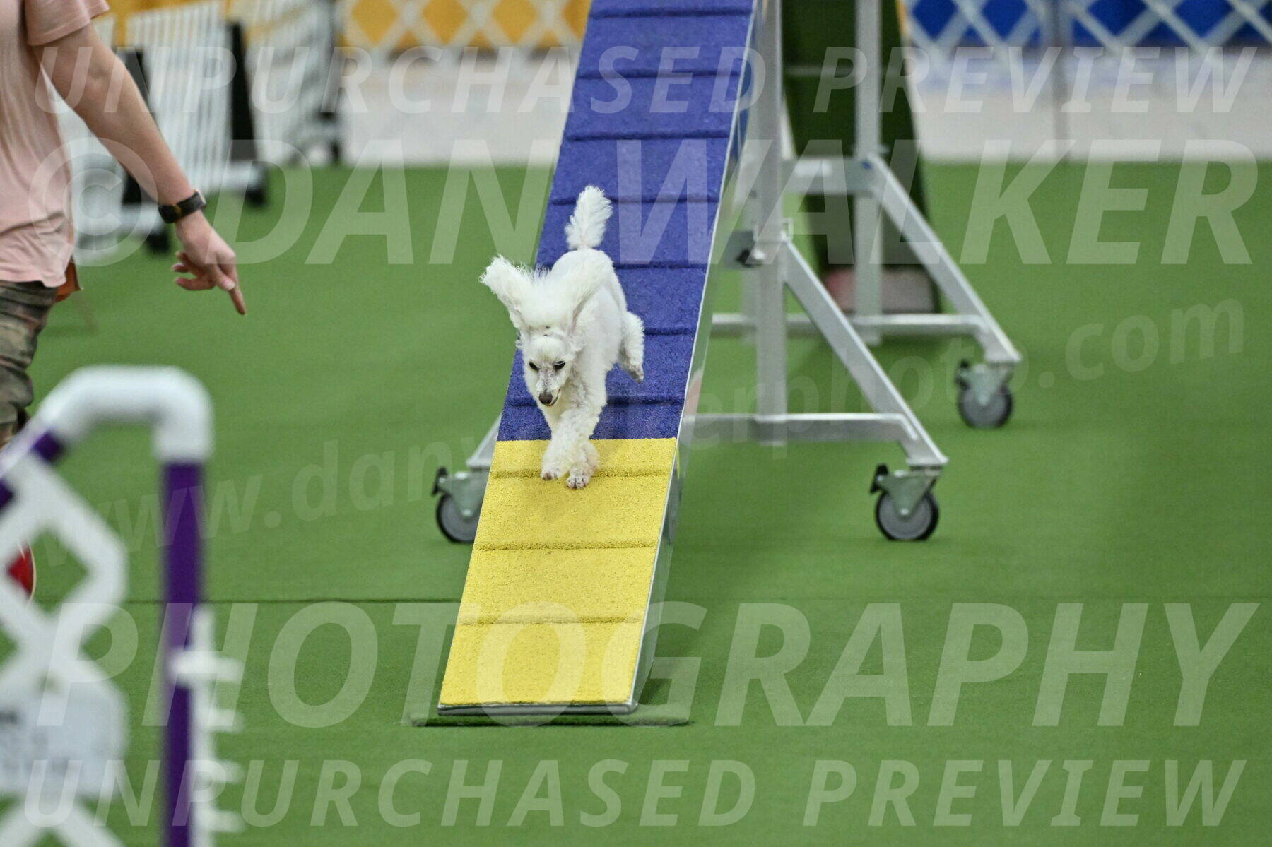 MAS-EX-STD-4-8-Inch_4544