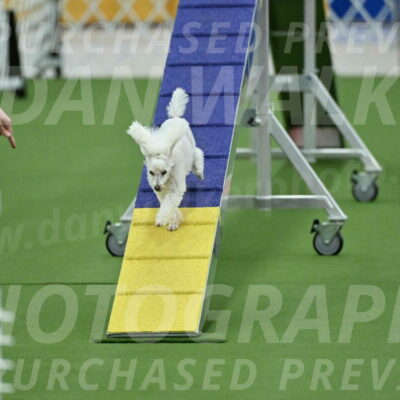 MAS-EX-STD-4-8-Inch_4544