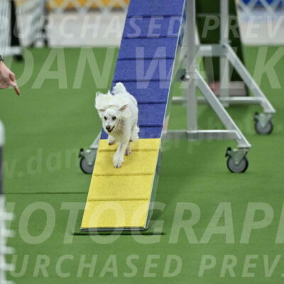 MAS-EX-STD-4-8-Inch_4545