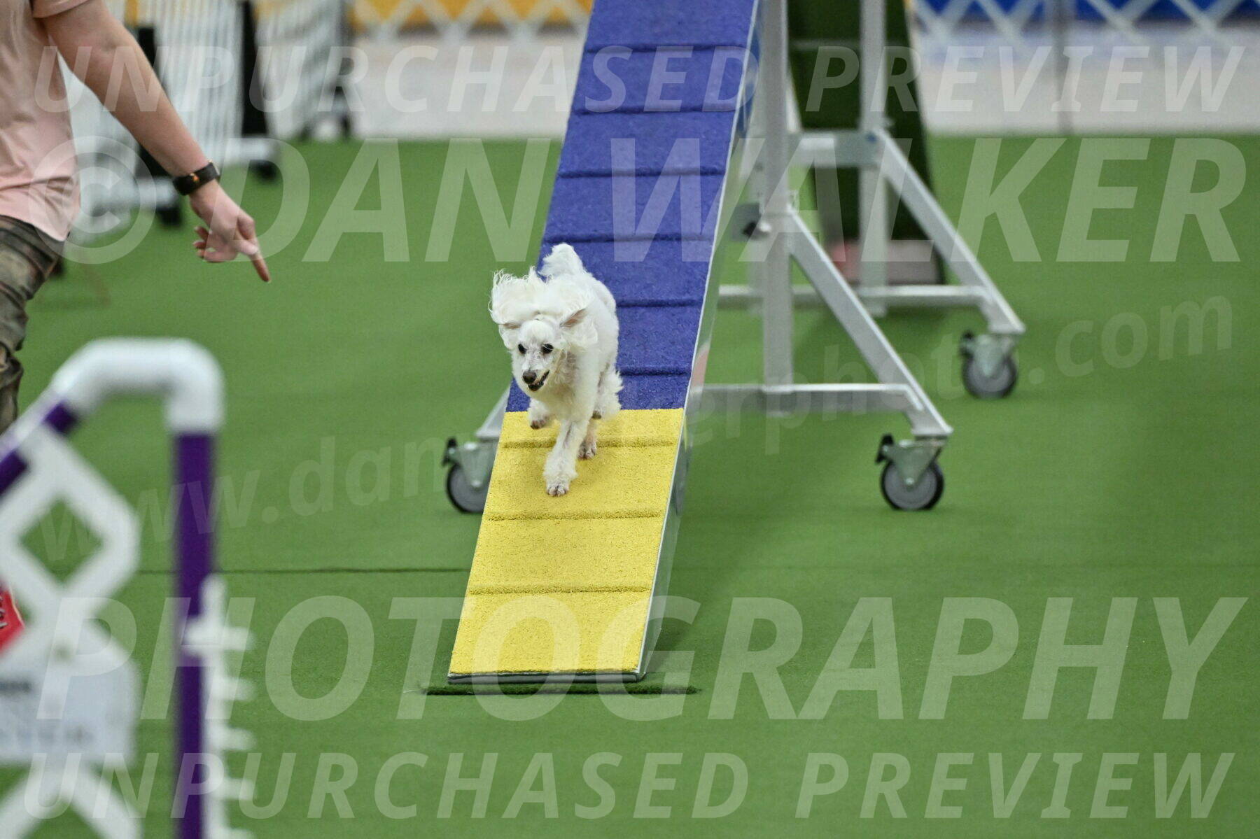 MAS-EX-STD-4-8-Inch_4545