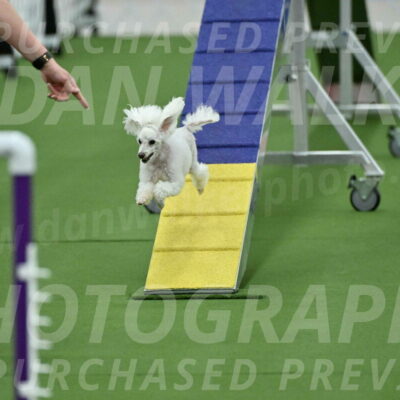 MAS-EX-STD-4-8-Inch_4546