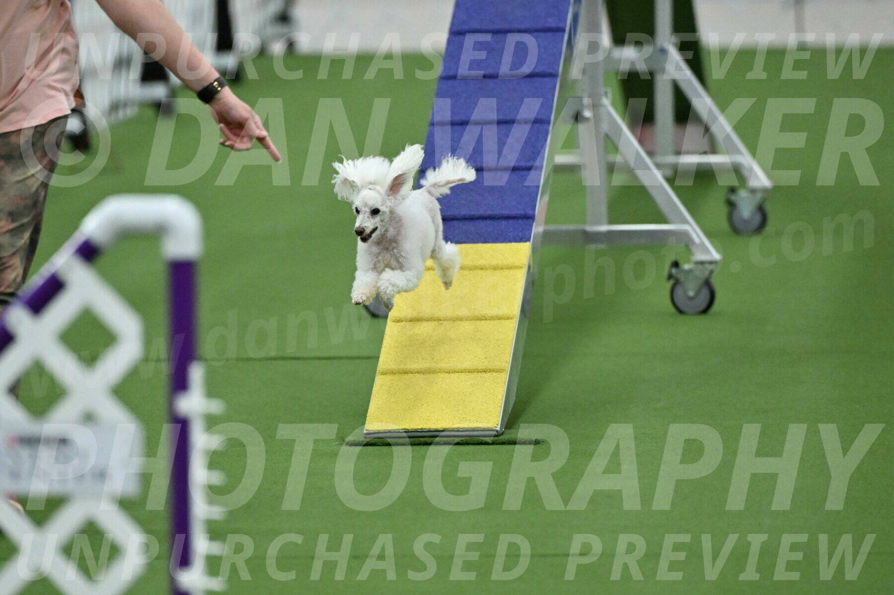 MAS-EX-STD-4-8-Inch_4546