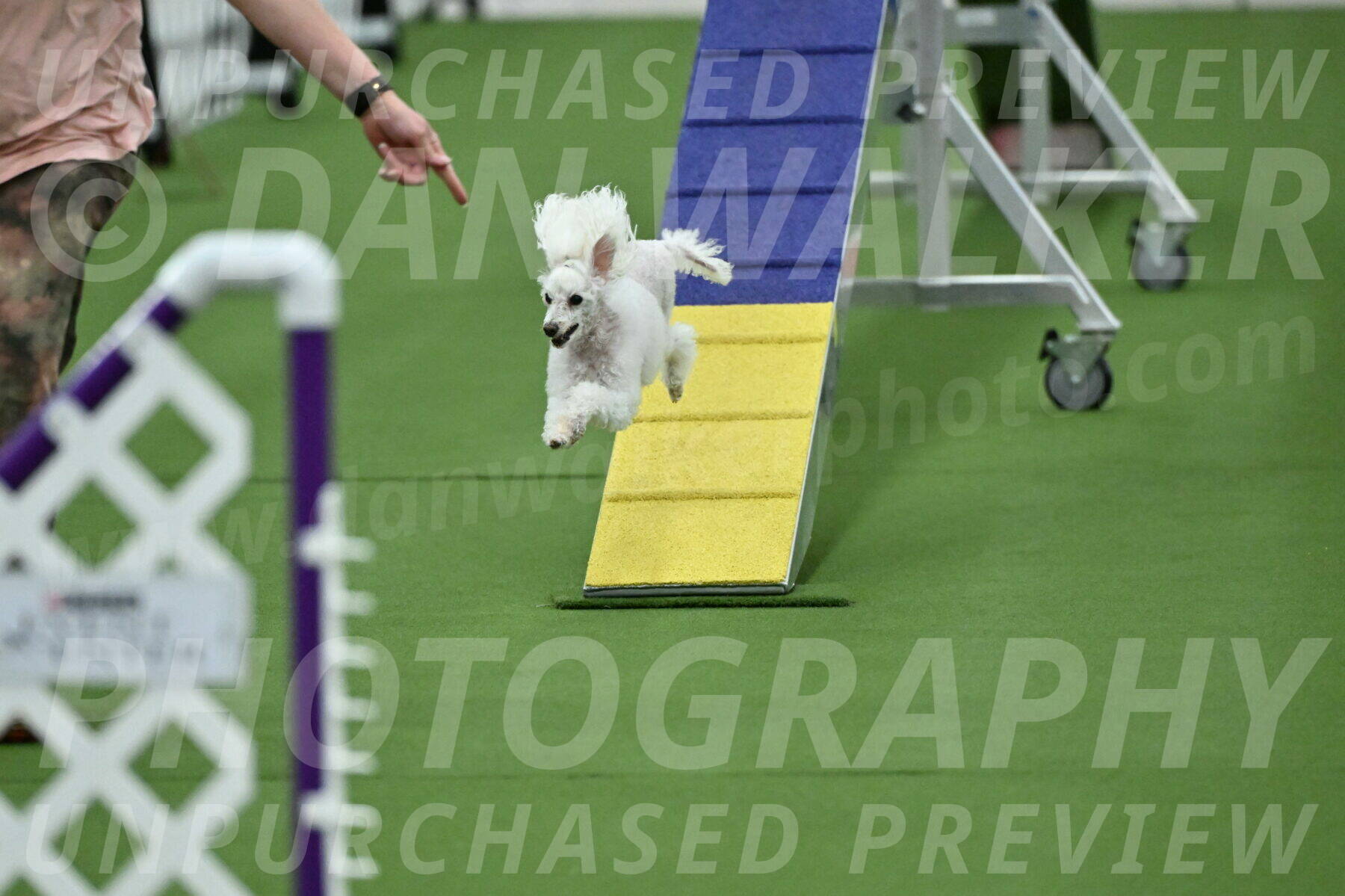 MAS-EX-STD-4-8-Inch_4547