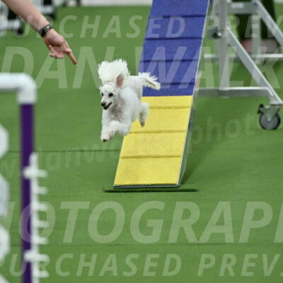 MAS-EX-STD-4-8-Inch_4547