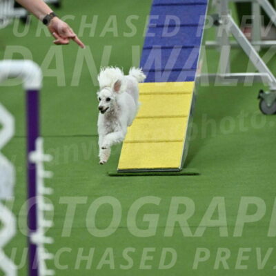 MAS-EX-STD-4-8-Inch_4548