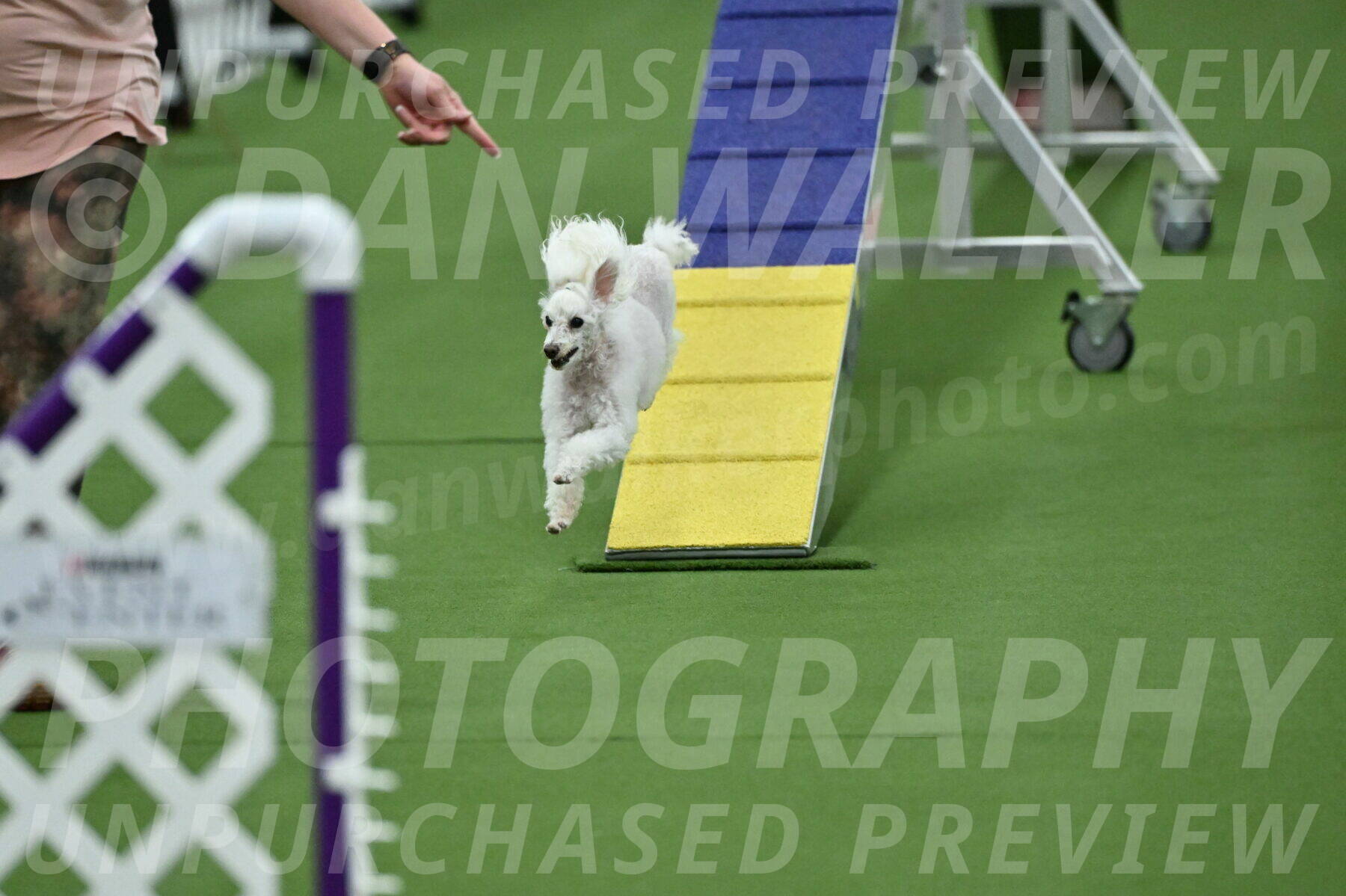 MAS-EX-STD-4-8-Inch_4548