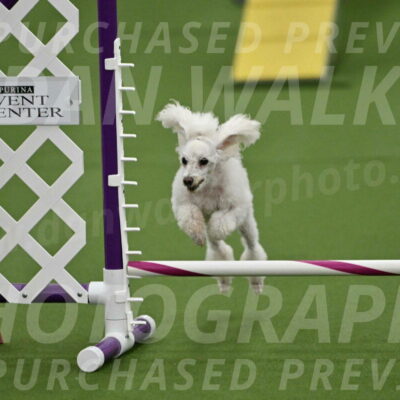 MAS-EX-STD-4-8-Inch_4552