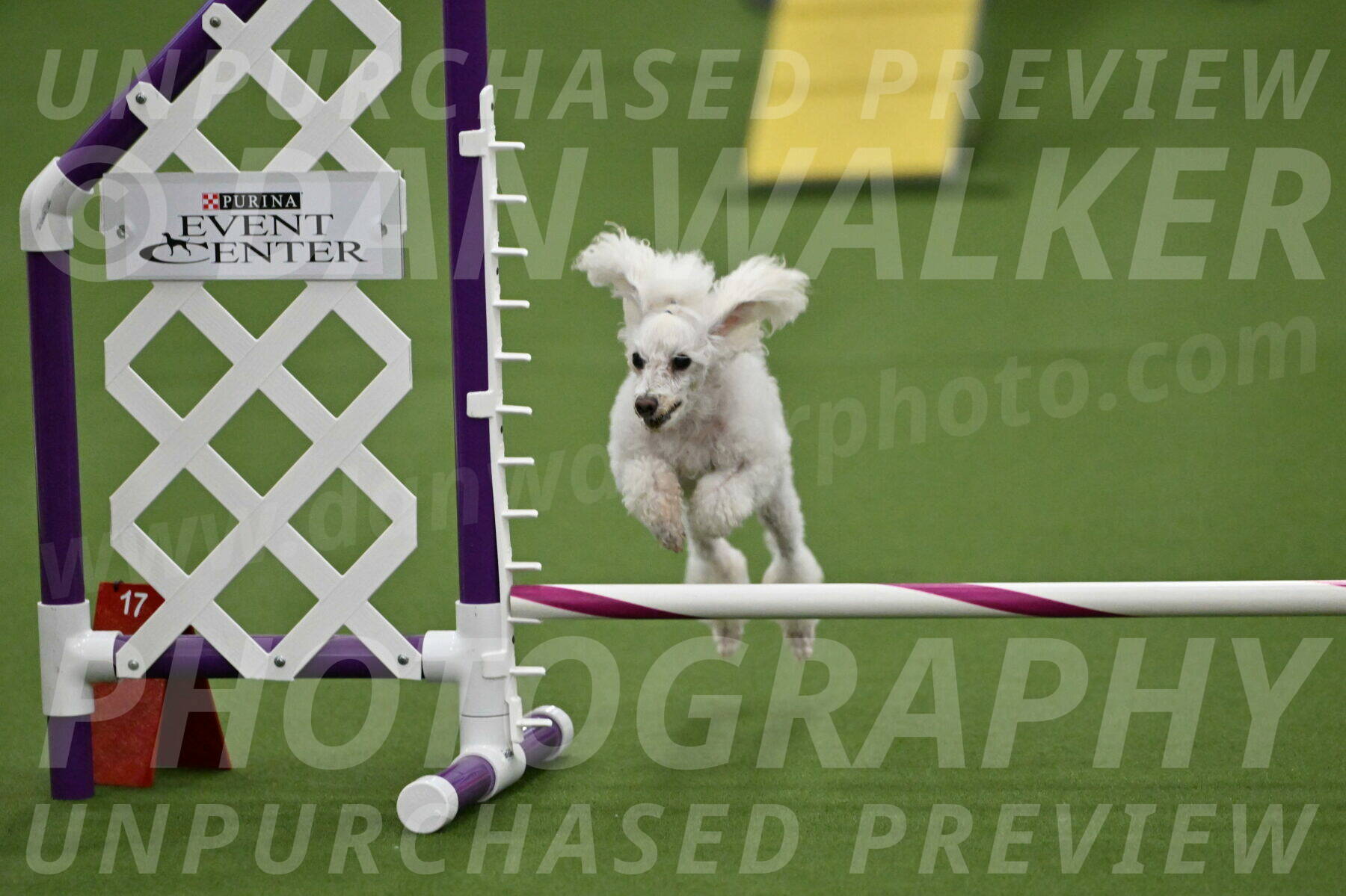 MAS-EX-STD-4-8-Inch_4552