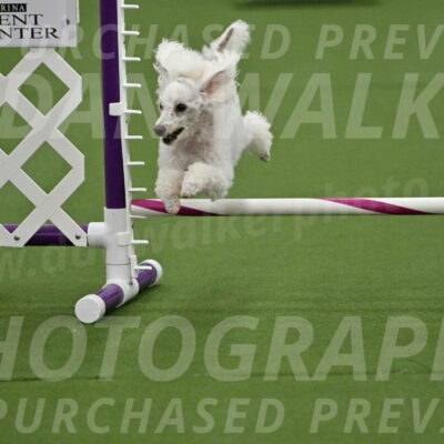 MAS-EX-STD-4-8-Inch_4553