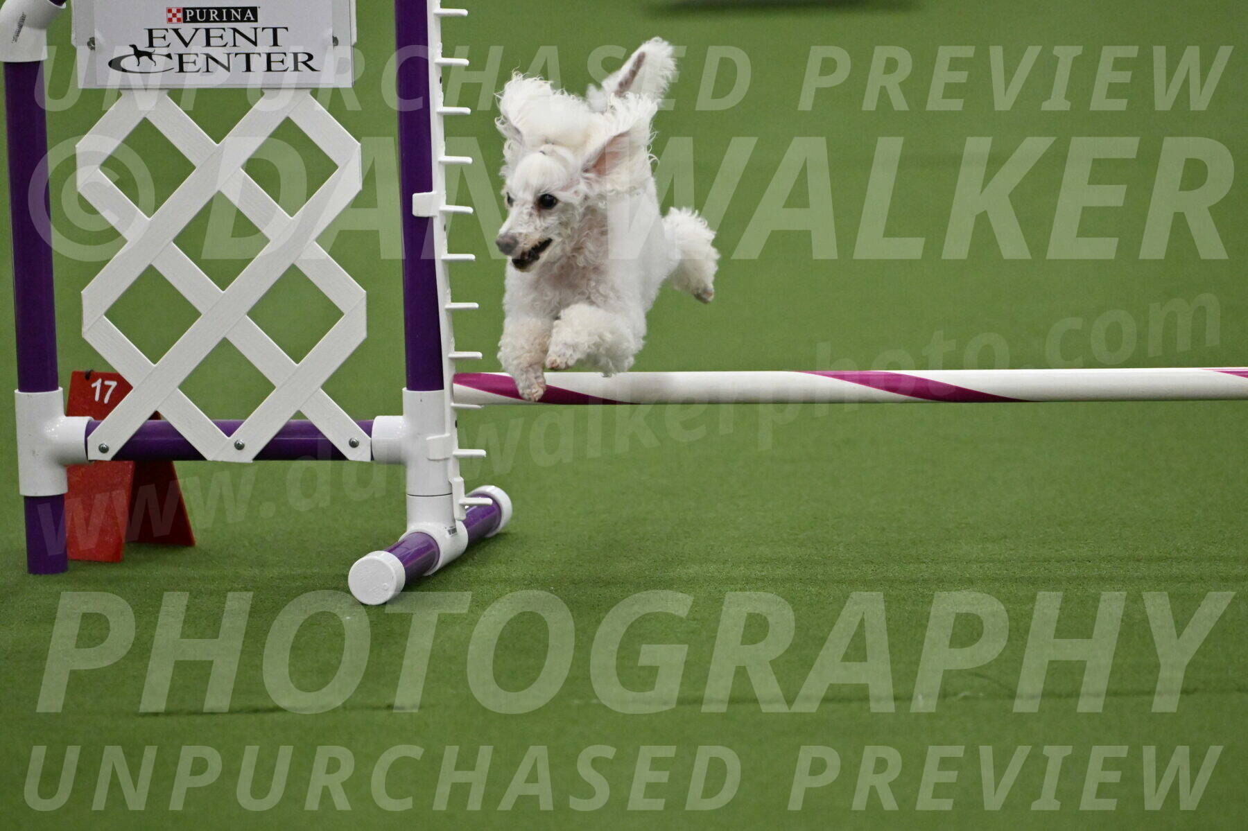 MAS-EX-STD-4-8-Inch_4553