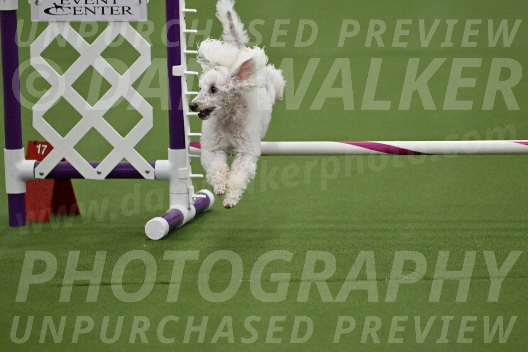 MAS-EX-STD-4-8-Inch_4554