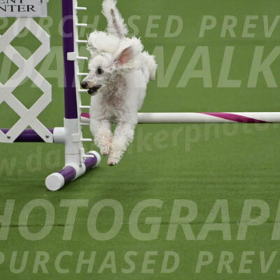 MAS-EX-STD-4-8-Inch_4554