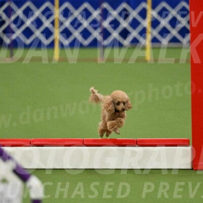 MAS-EX-STD-4-8-Inch_4567