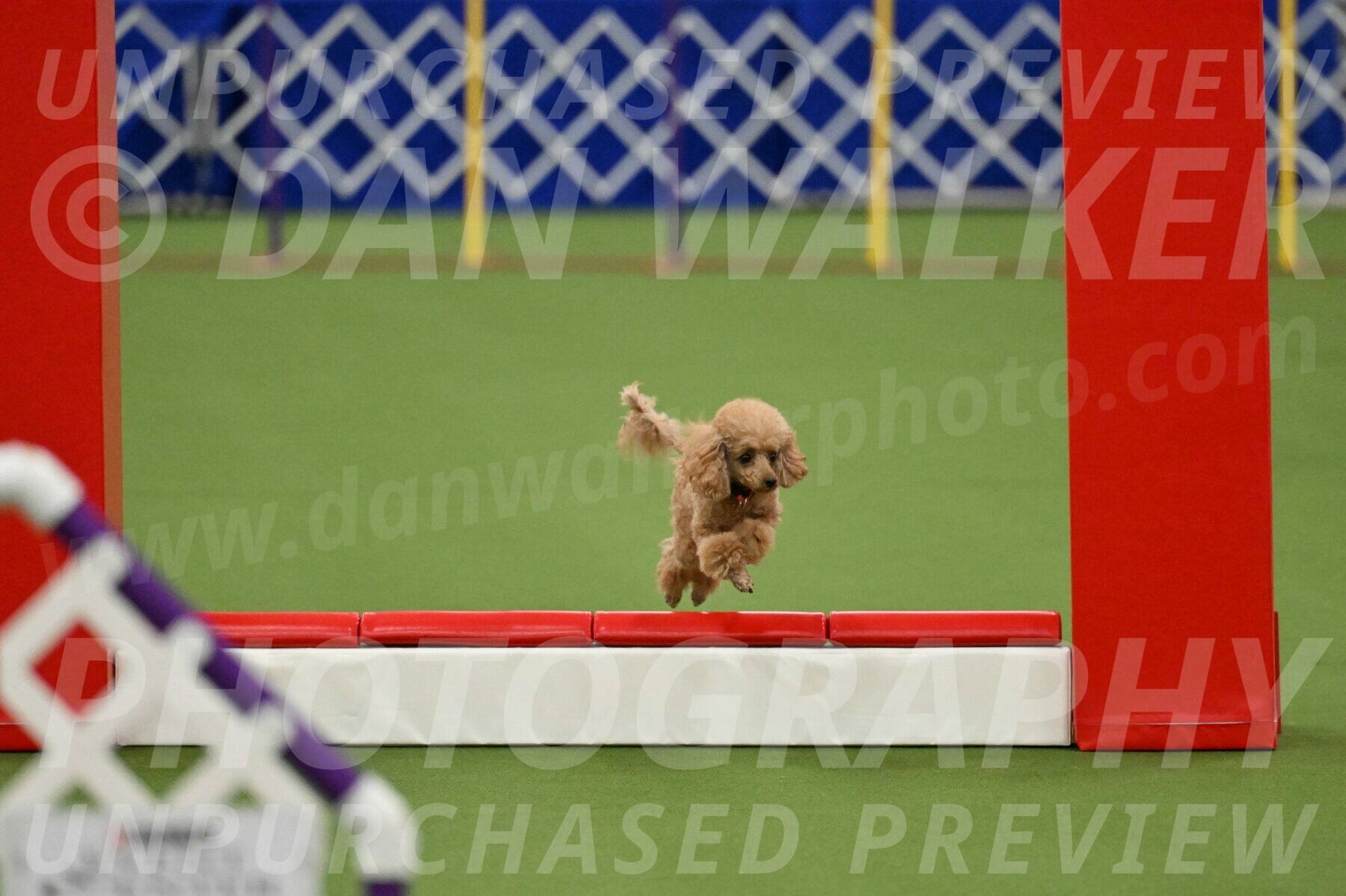 MAS-EX-STD-4-8-Inch_4567