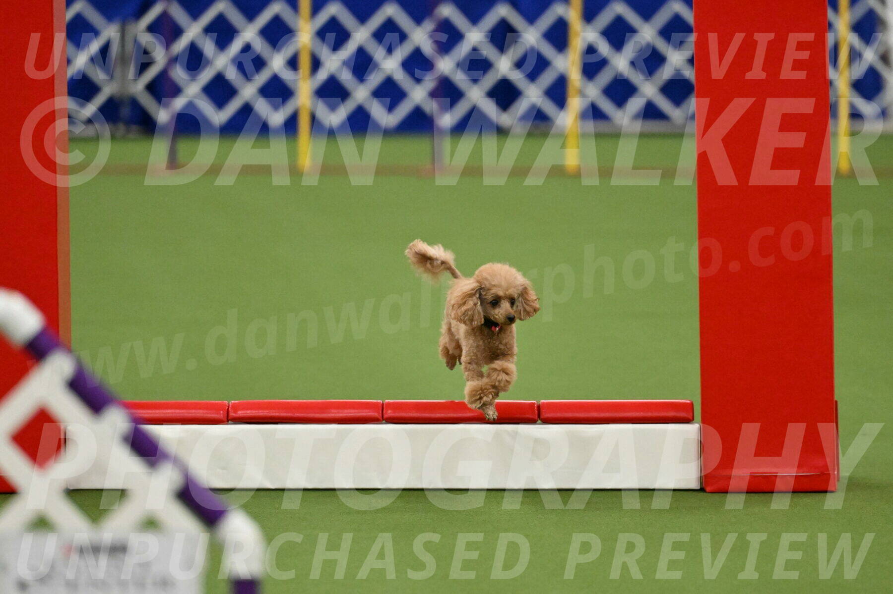 MAS-EX-STD-4-8-Inch_4568