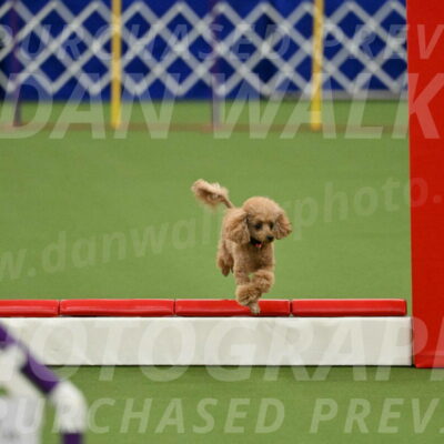 MAS-EX-STD-4-8-Inch_4568