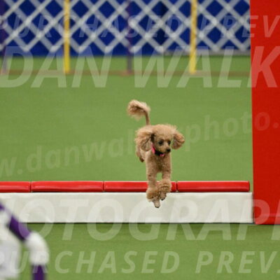 MAS-EX-STD-4-8-Inch_4569