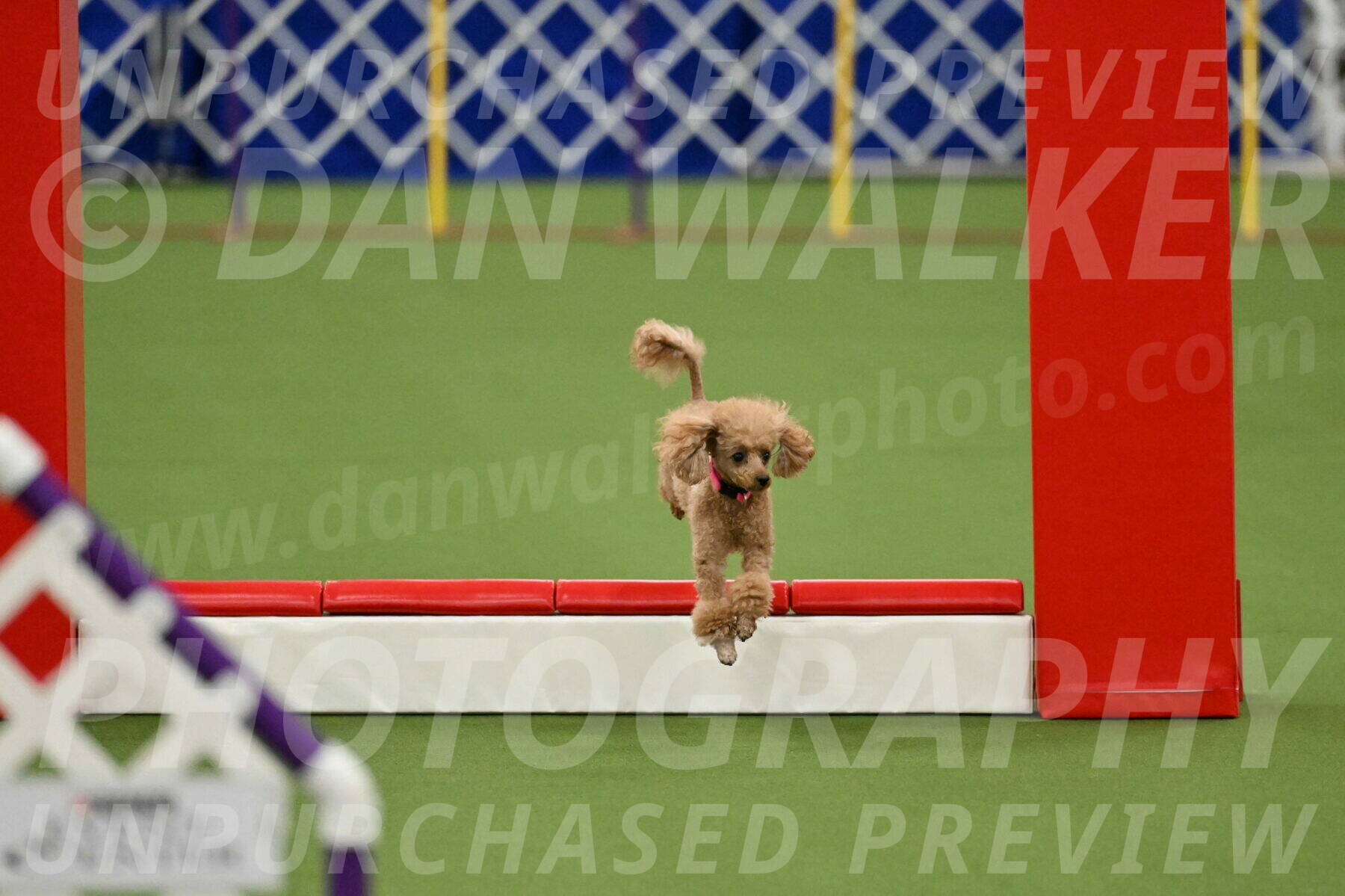 MAS-EX-STD-4-8-Inch_4569