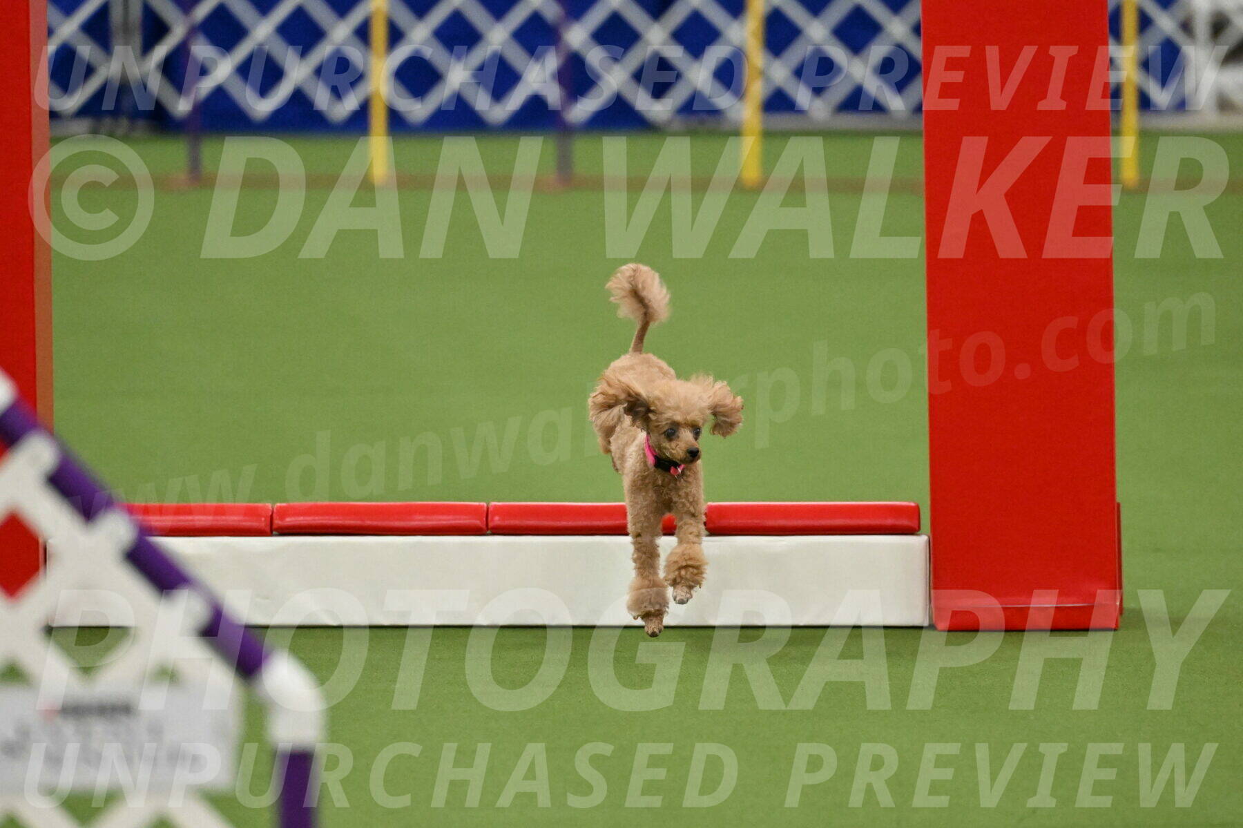 MAS-EX-STD-4-8-Inch_4570