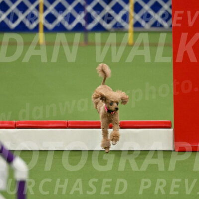 MAS-EX-STD-4-8-Inch_4570