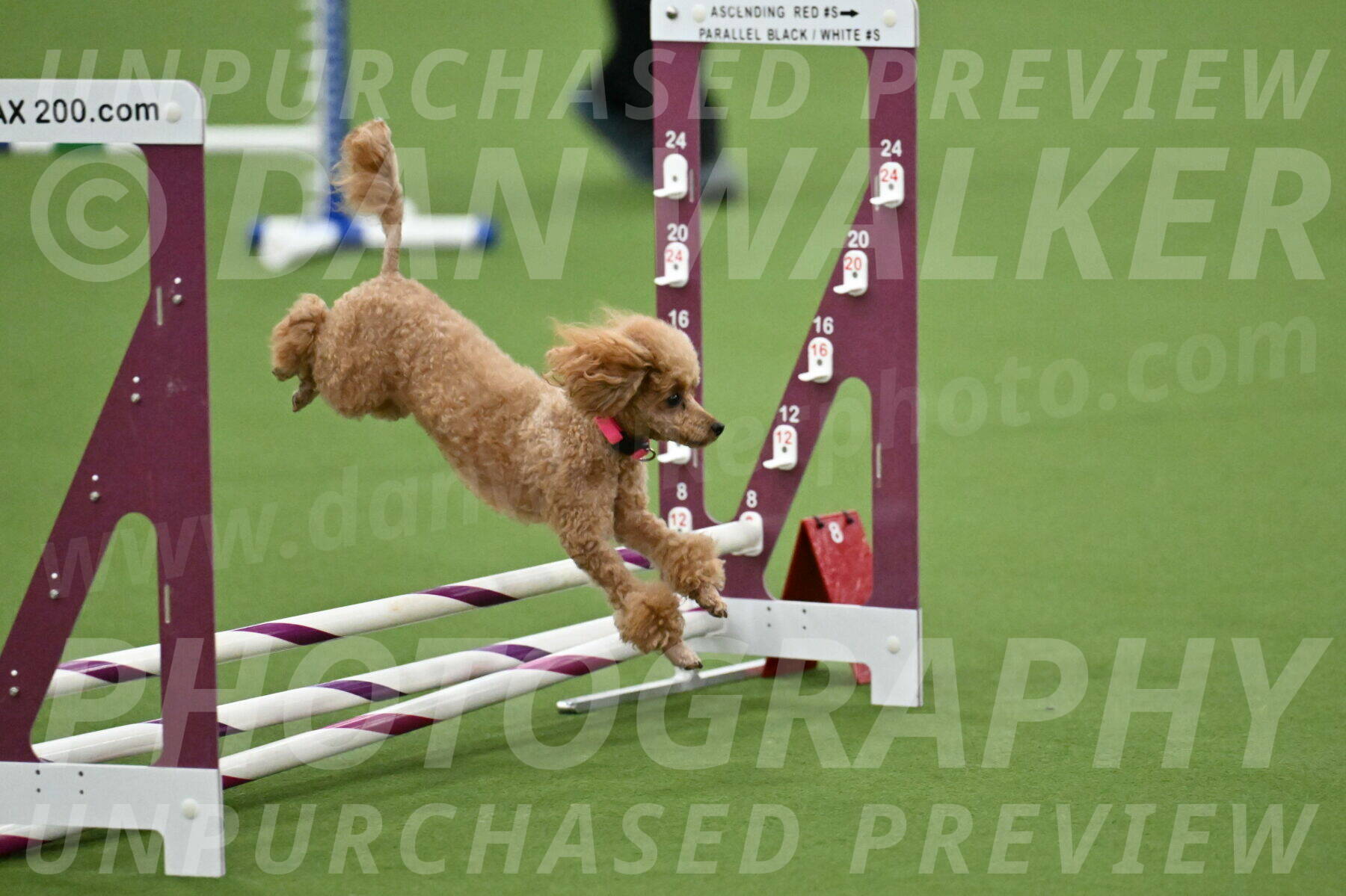 MAS-EX-STD-4-8-Inch_4572