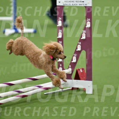 MAS-EX-STD-4-8-Inch_4572