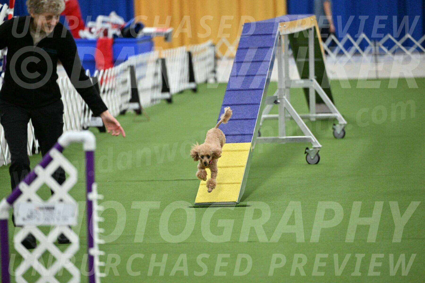 MAS-EX-STD-4-8-Inch_4579