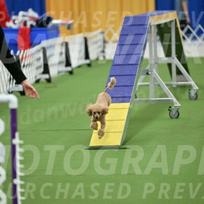 MAS-EX-STD-4-8-Inch_4579