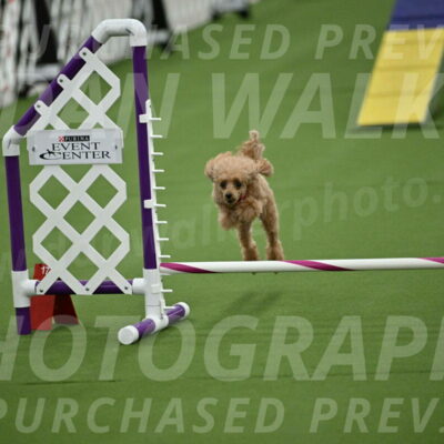 MAS-EX-STD-4-8-Inch_4588