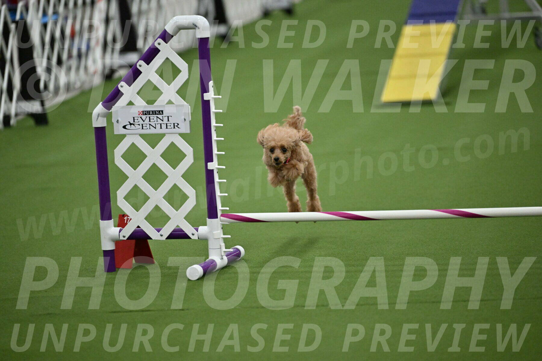 MAS-EX-STD-4-8-Inch_4588