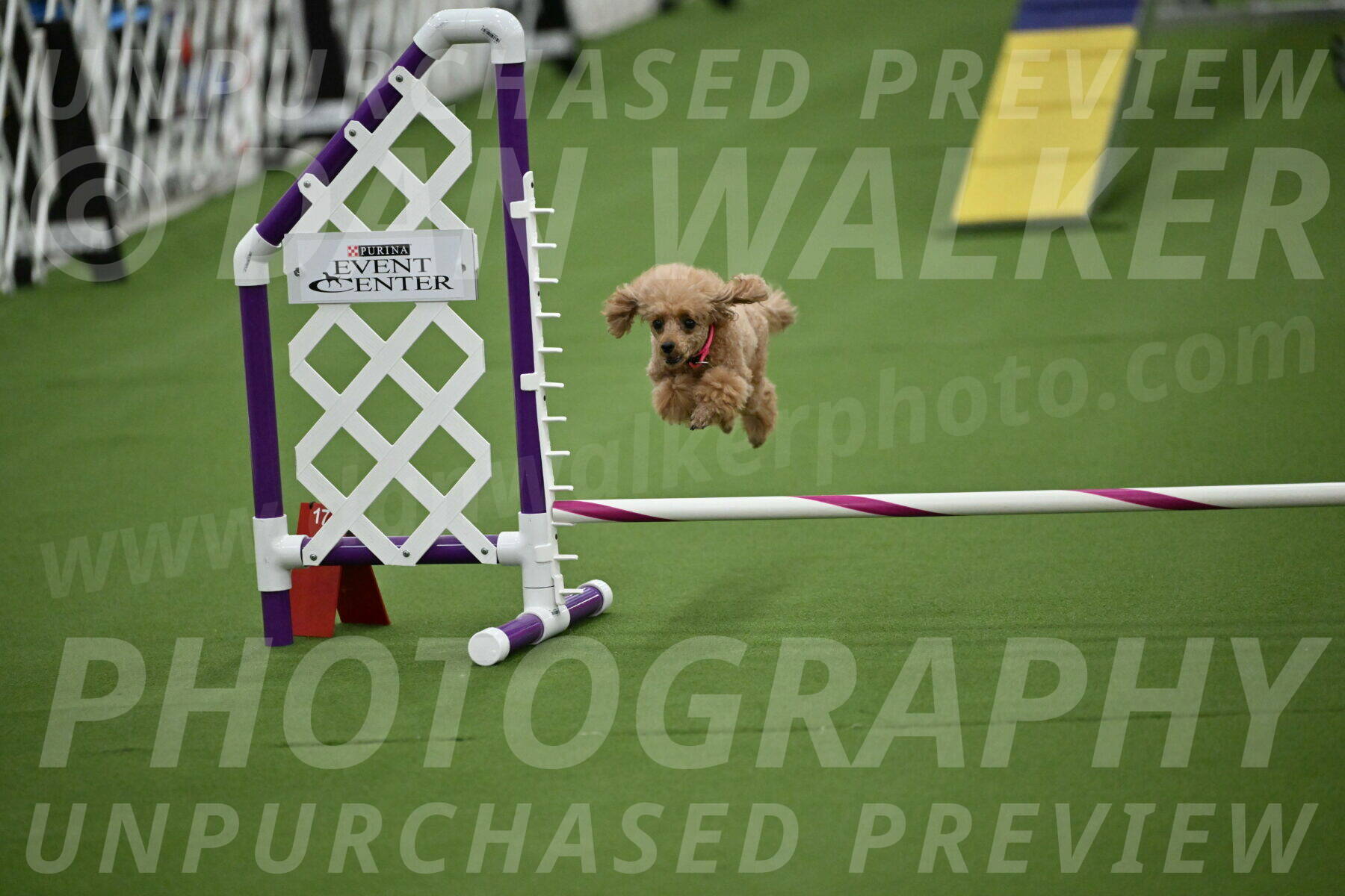 MAS-EX-STD-4-8-Inch_4589